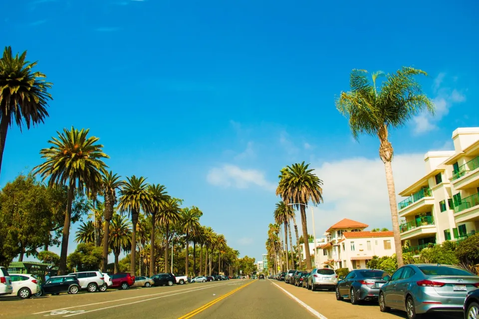 Wide street in Santa Monica, California with cars parked on either side and tall palm trees lining the street on a sunny day.